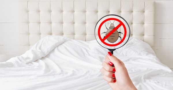 חדר שינה מינימליסטי: כשאין איפה להתחבא, המזיקים נעלמים